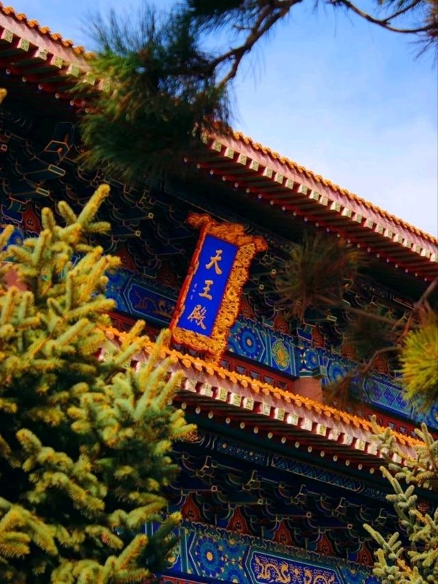長春萬壽寺︳端午粽情祈福