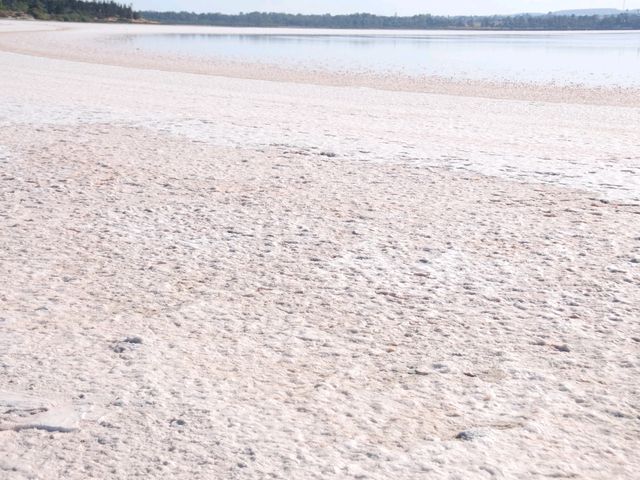 塞浦路斯拉納卡鹽湖