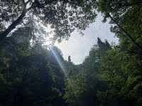 Magical 4 days in Zhangjiajie Park 