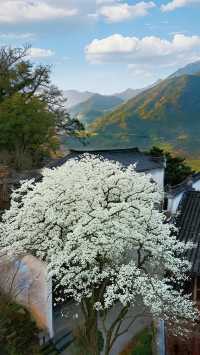邂逅上饒，墜入人間仙境