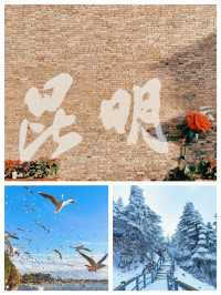 暑假旅遊攻略來啦，你們計劃了嗎？