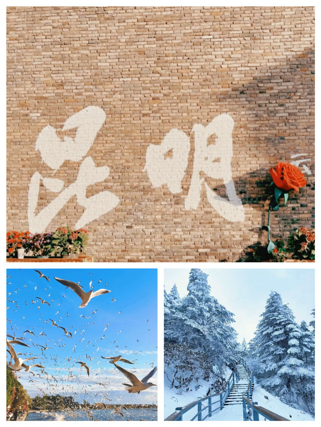暑假旅遊攻略來啦，你們計劃了嗎？