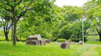 真係估唔到，落住小雨遊大阪城公園竟然咁浪漫