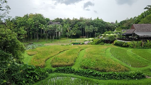 清邁嘅綠色天堂四季度假村