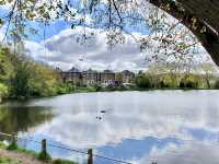 My Secret London Commute: Walthamstow Village to Hampstead Heath in 35 Minutes!  