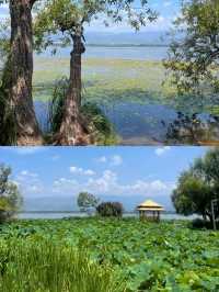 三亞萬寧退退退！瓊海先係海島旅行嘅天菜！！