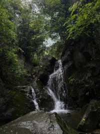 七八月嘅莫干山，係23℃嘅綠野仙蹤。