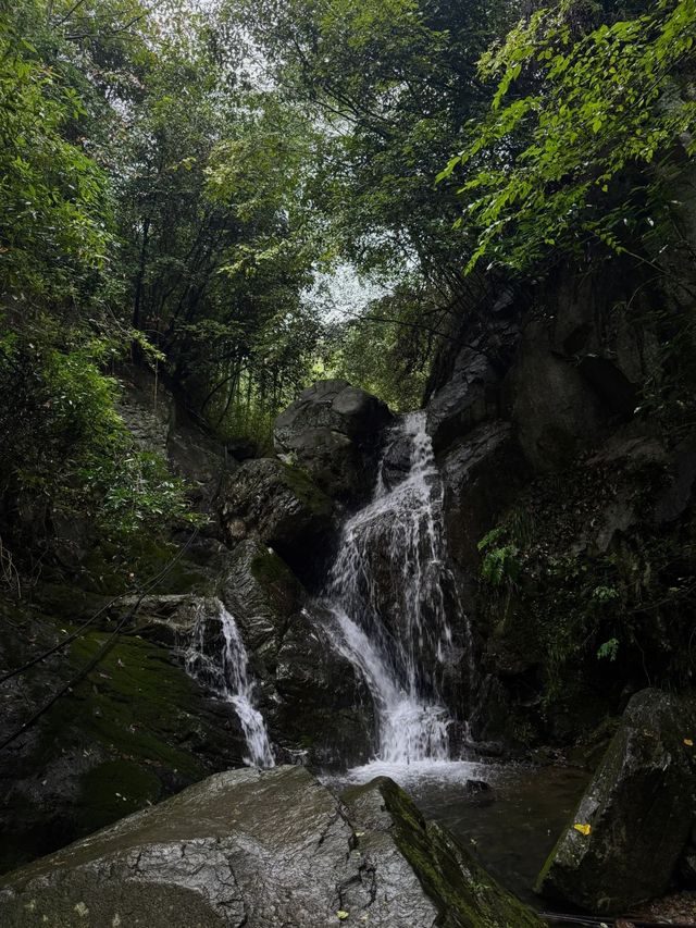 七八月嘅莫干山，係23℃嘅綠野仙蹤。