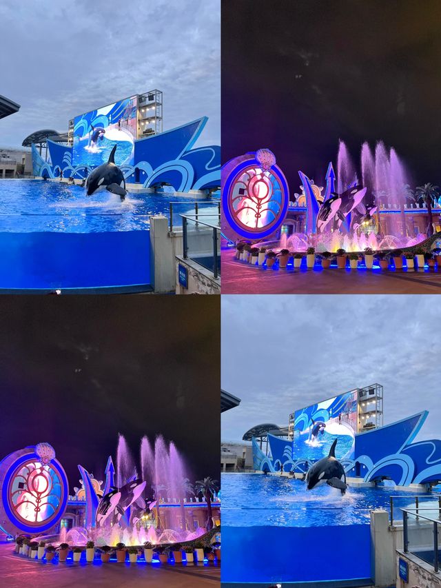 暑期親子遊 | 上海海昌海洋公園保姆級攻略
