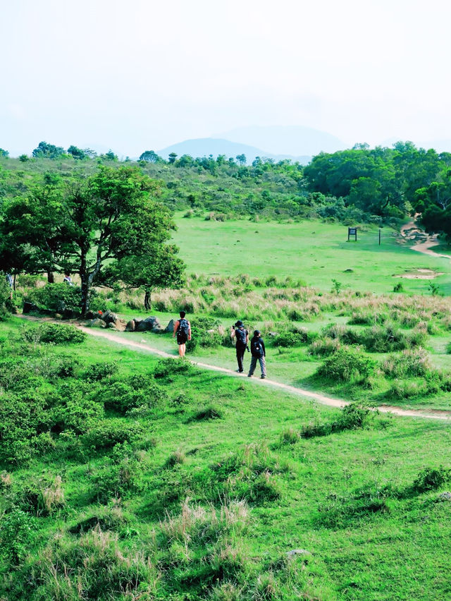 *【香港絶景！鶏公嶺ハイキングガイド】**  