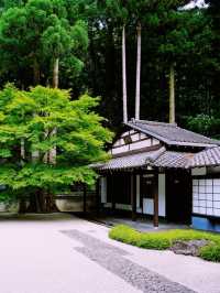 *【東京の静寂を求めて　玉堂美術館の枯山水に癒される】**  