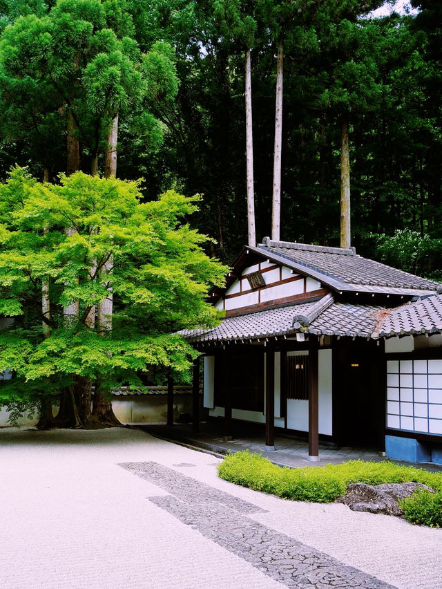 *【東京の静寂を求めて　玉堂美術館の枯山水に癒される】**  
