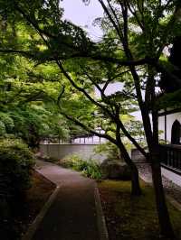 東京の幸運を呼ぶ猫寺「豪徳寺」の魅力】**  