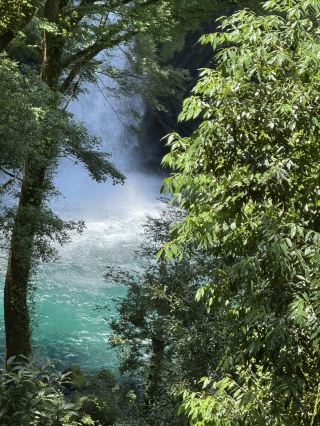 Highly Recommended Summer Hike Along the Izu Peninsula's Spine: The Odoriko Trail Waterfall & Valley Walk
