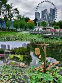 《「荷你有約」：宜昌兒童公園荷花節浪漫來襲》