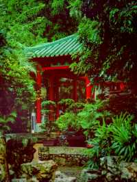 여름날의 낭만, 마카오 노렴약공원(盧廉若公園)에서 즐기는 힐링 타임​