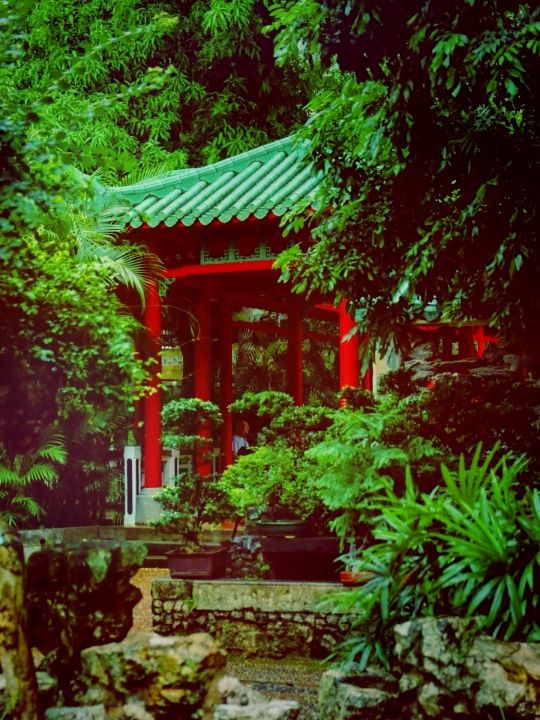 여름날의 낭만, 마카오 노렴약공원(盧廉若公園)에서 즐기는 힐링 타임​