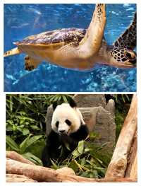香港海洋公園旺季生存法則！3日玩盡20個項目，呢5個錯千祈唔好犯
