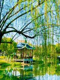 暑假福建龍巖8大網紅必打卡景點及深度攻略
