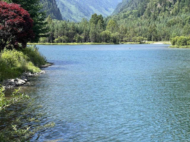 夏天嘅畢棚溝係唔需要濾鏡嘅美