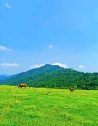 解鎖臨江溪谷嘅夏日密碼