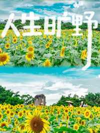 深圳人私藏嘅「文藝工業風」寶藏地