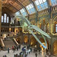 Museums of London! 