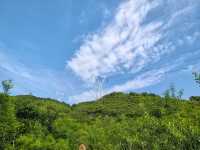 紅林村尋古——黃寶峪古廟遺址