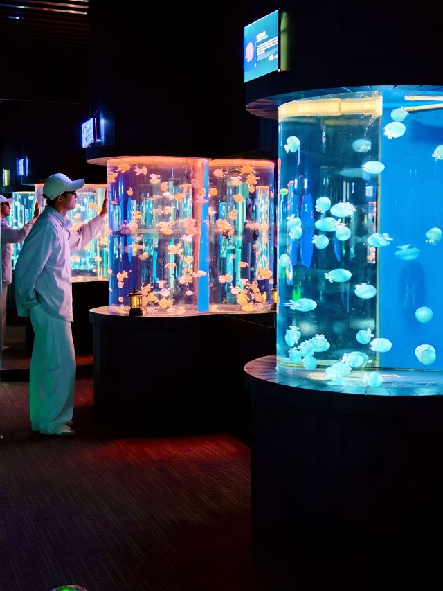 28℃避暑天堂！舟山長喬海洋館2日1夜全攻略
