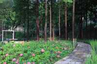 你哋住過咁樣嘅酒店未？群山環繞，視野開闊，十里芳菲香積嶺村落