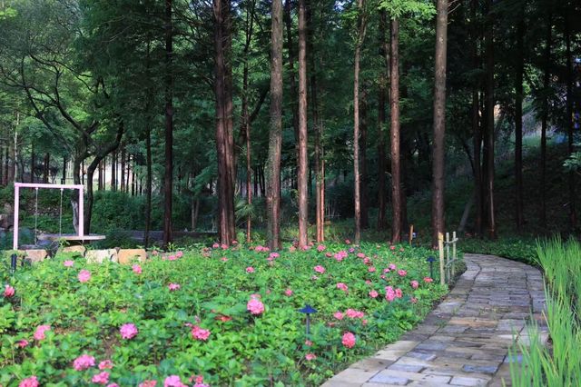 你哋住過咁樣嘅酒店未？群山環繞，視野開闊，十里芳菲香積嶺村落