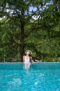 安吉｜竹林冷泉伴溪眠，25℃避暑全攻略