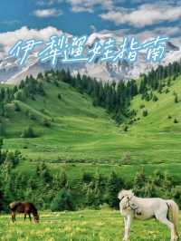 暑期湊仔指南—伊犁篇5日4夜零伏攻略
