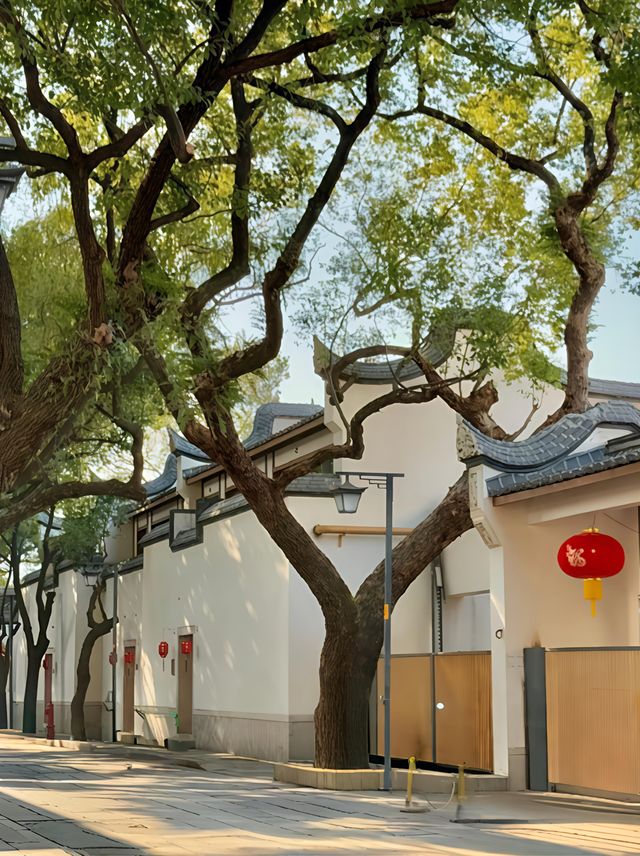 枕住巷弄煙火入眠丨穿越千年的溫柔