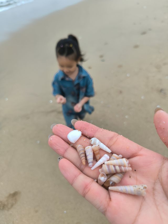 睇海‖睇展‖湊仔兩日一夜
