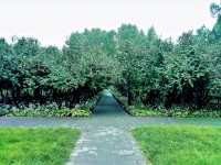 Exploring Chaoyang District's Parks: A Green Oasis in Beijing