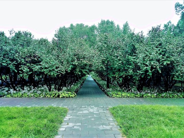 Exploring Chaoyang District's Parks: A Green Oasis in Beijing