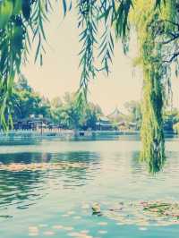 醉美什剎海｜老北京風情一夜醉】**  