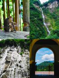 成都周邊1.5小時 | 行山避暑、玩水、睇動物