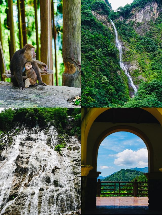 成都周邊1.5小時 | 行山避暑、玩水、睇動物