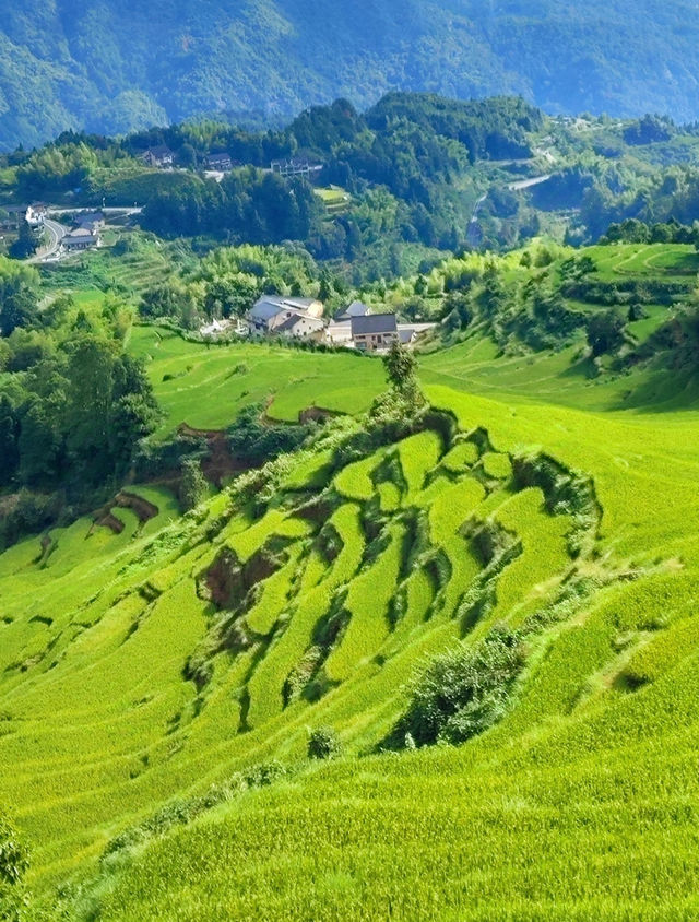 挖到寶了 麗水被低估嘅避世秘境 梯田古村+高鐵直達