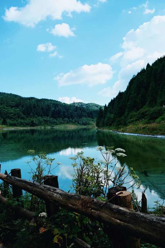 武陵山避暑全攻略:森林氧吧+土家風味+住宿避坑秘笈 武陵山避暑全攻略:森林氧吧+土家風味+住宿避坑秘笈