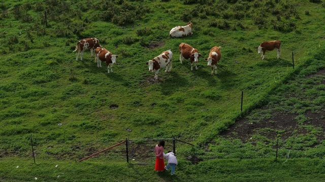 河西走廊的調色盤與草原牧歌：張掖四日深度遊手記