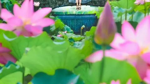 คอลเลกชันจุดหมายปลายทางแสนโรแมนติกในฤดูร้อน — traveler post in จังหวัดฟุกุอิ