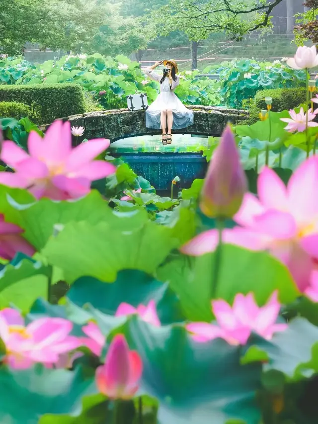 Summer Romantic Destinations Collection