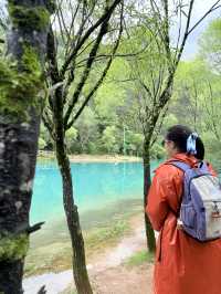 昆明+大理市+麗江5日遊：滇池碧波蕩漾，麗江古城下的玉龍雪山