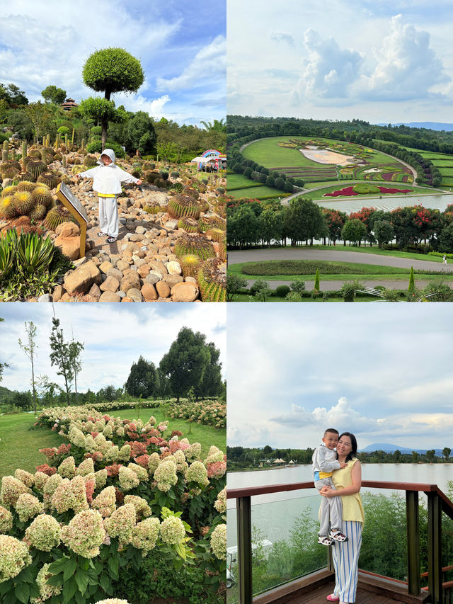 暑假親子遊|彌勒太平湖森林公園(附攻略) 暑假親子遊|彌勒太平湖森林公園(附攻略)