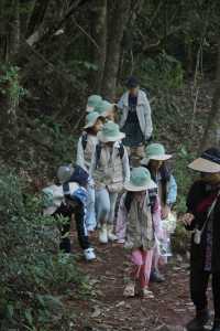 才從普洱回來 我對我這個行程滿意到不行