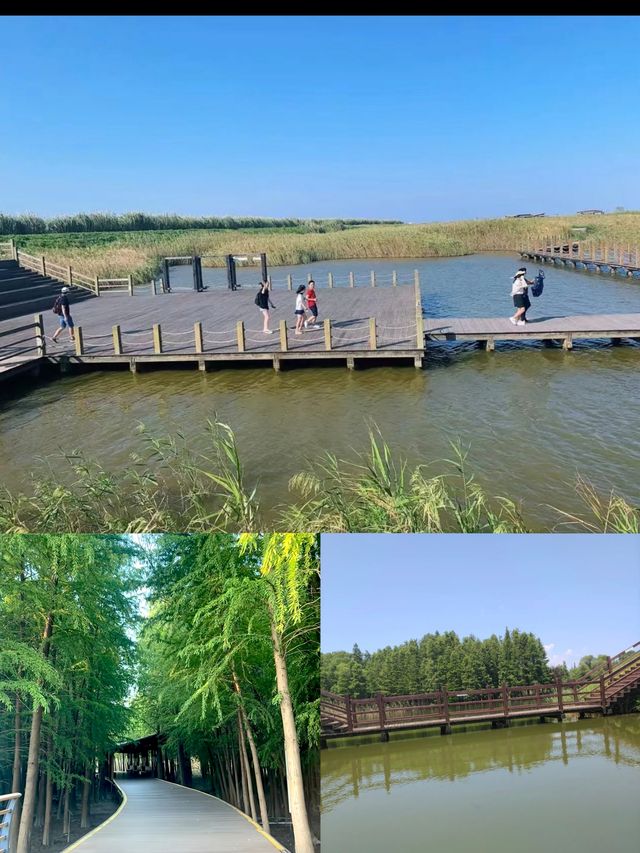 寶子們!雖然櫻花季已經悄然落幕,但那股浪漫餘韻彷彿還在! 寶子們!雖然櫻花季已經悄然落幕,但那股浪漫餘韻彷彿還在!