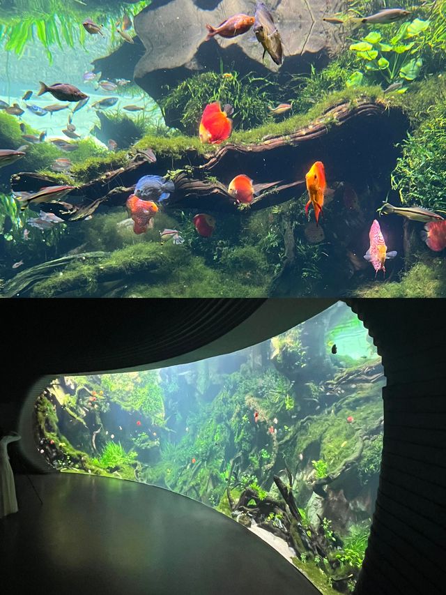 夢幻溫室花園冇白嚟！湊B好去處